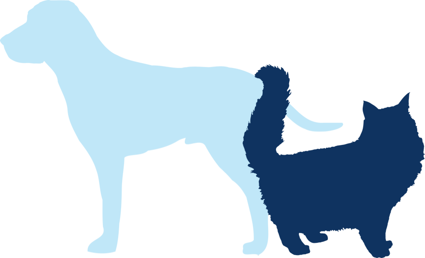 Silhouette of cat and dog