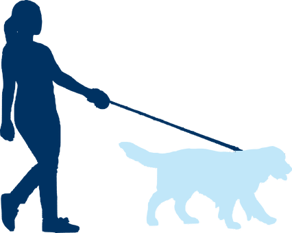 Silhouette of woman walking a dog